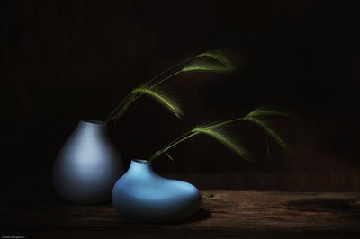  de Saskia Dingemans