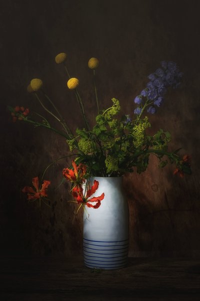  de Saskia Dingemans