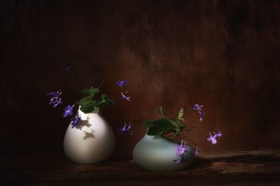  de Saskia Dingemans