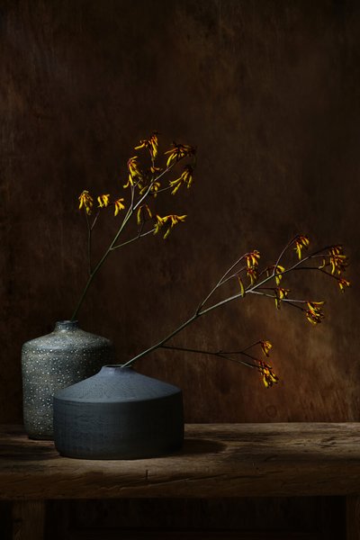  de Saskia Dingemans