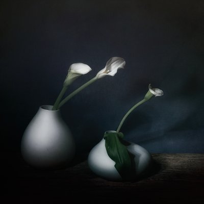  de Saskia Dingemans