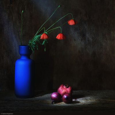  de Saskia Dingemans