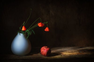  de Saskia Dingemans