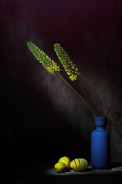  de Saskia Dingemans