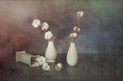  de Saskia Dingemans