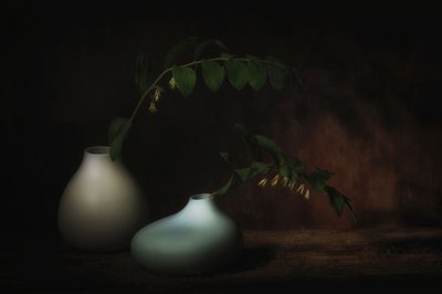  de Saskia Dingemans