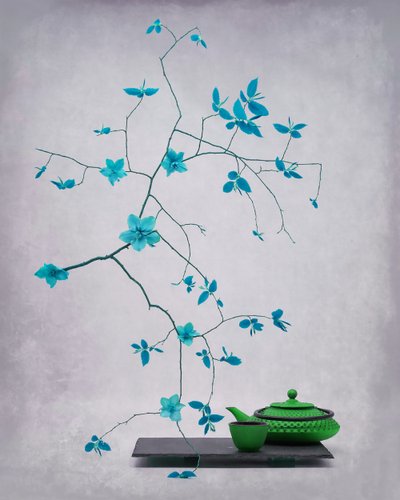  de Saskia Dingemans