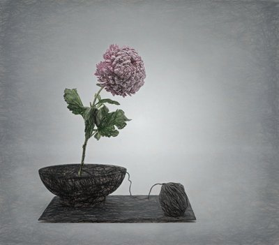  de Saskia Dingemans