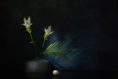  de Saskia Dingemans