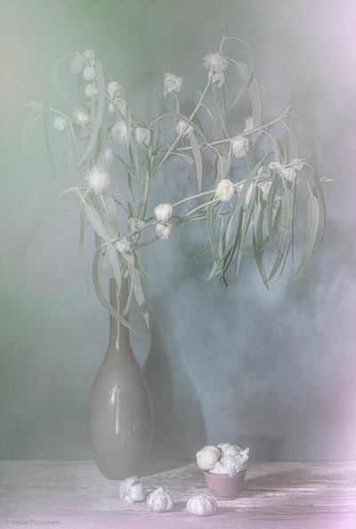  de Saskia Dingemans