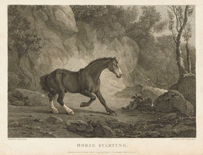 Arranque del caballo (grabado) de Sawrey (after) Gilpin