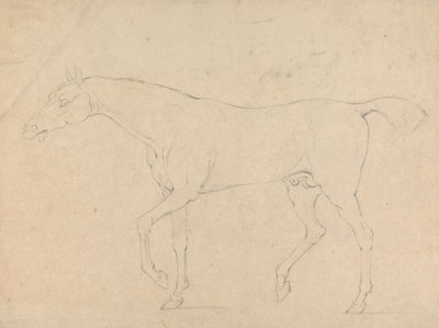 Un Caballo de Sawrey Gilpin