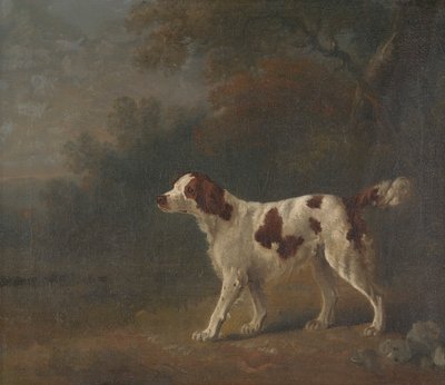 Un setter en la linde de un bosque de Sawrey Gilpin