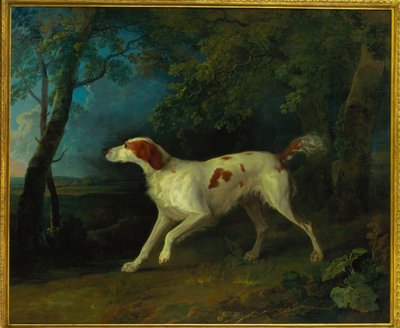 Un setter marrón y blanco en un paisaje boscoso, 1773 de Sawrey Gilpin
