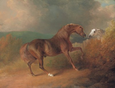 Júpiter del Coronel Thornton, por Eclipse de una yegua por Tartar, junto a una cerca, con una yegua gris, en Thornville Royal, 1792 de Sawrey Gilpin