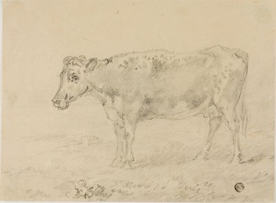 Vaca de Sawrey Gilpin