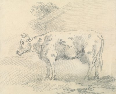 Vaca de Sawrey Gilpin