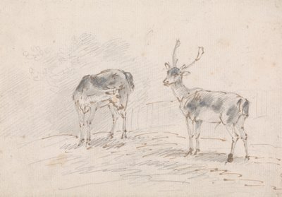 Hembra y macho de Sawrey Gilpin