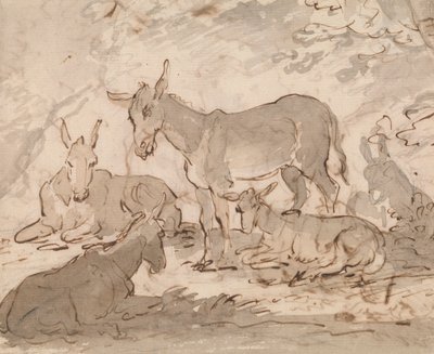 Burros de Sawrey Gilpin
