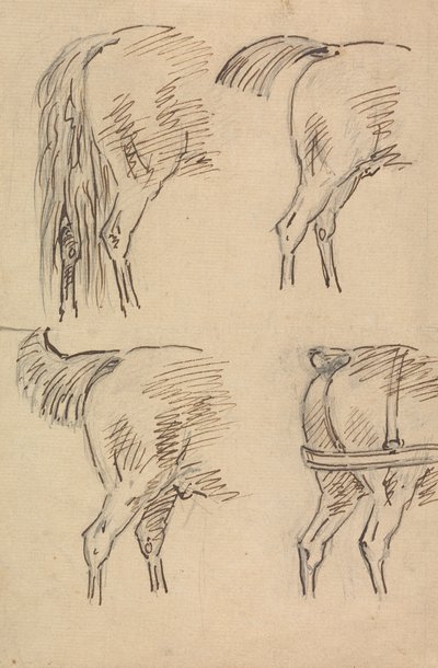 Cuatro bocetos de cuartos traseros de caballo de Sawrey Gilpin