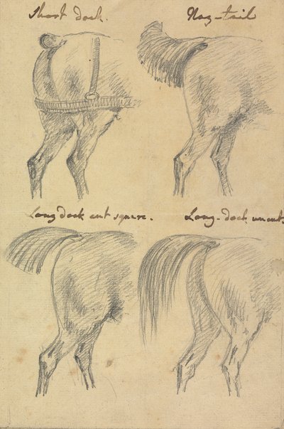 Cuatro bocetos de colas de caballo de Sawrey Gilpin