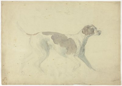 Fox Hound (anverso); Bocetos de caballo y jinete (reverso) de Sawrey Gilpin