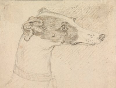 Retrato de cabeza de galgo de Sawrey Gilpin