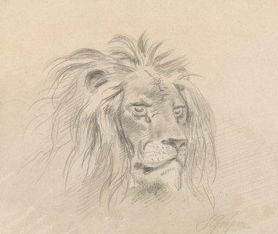 Cabeza de león de Sawrey Gilpin