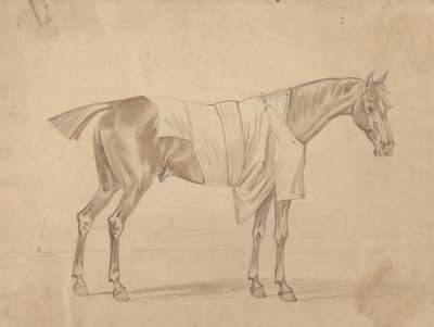 Caballo vestido con manta de Sawrey Gilpin