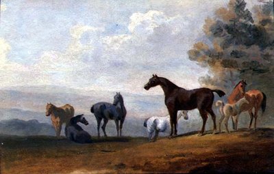 Caballos de Sawrey Gilpin