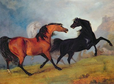 Caballos peleando de Sawrey Gilpin
