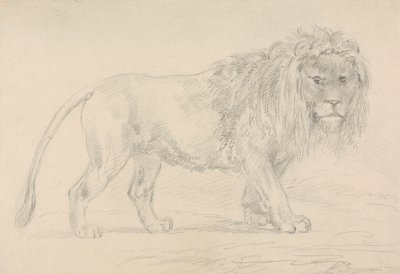 León Andante de Sawrey Gilpin