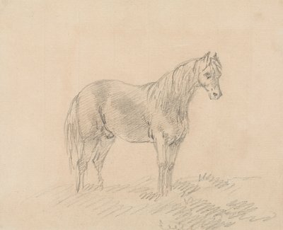 Caballo macho de Sawrey Gilpin