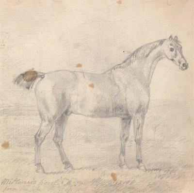 Caballo del Sr. Plumer de Sawrey Gilpin