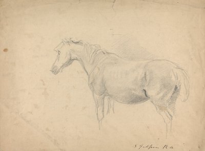 Boceto de un caballo de Sawrey Gilpin