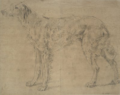 Perro de caza de Sawrey Gilpin