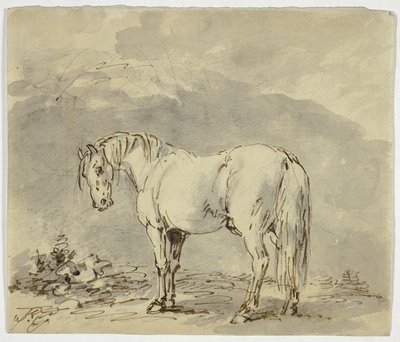 Caballo de Pie con la Cabeza Girada de Sawrey Gilpin