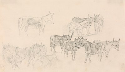 Estudios sobre burros de Sawrey Gilpin