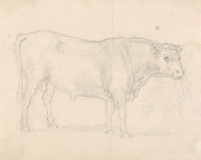 Estudio de un toro de Sawrey Gilpin