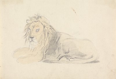 Estudio de un león de Sawrey Gilpin