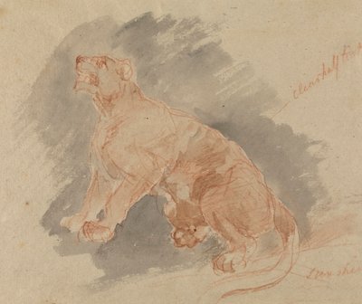 Estudio de un tigre de Sawrey Gilpin