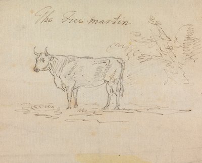 El Martín Libre de Sawrey Gilpin