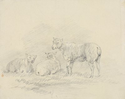 Tres ovejas de Sawrey Gilpin