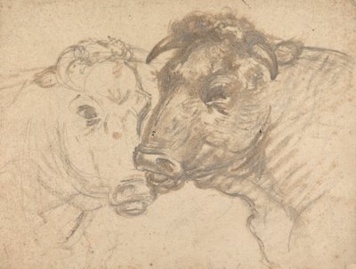 Dos toros de Sawrey Gilpin
