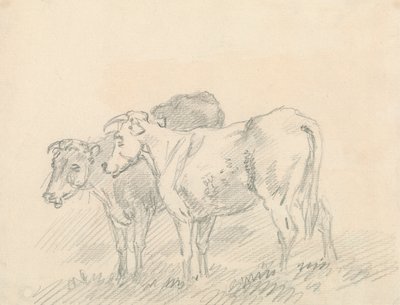 Dos vacas de Sawrey Gilpin