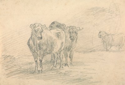 Dos vacas en una colina de Sawrey Gilpin