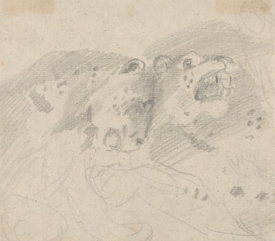 Dos leopardos de Sawrey Gilpin