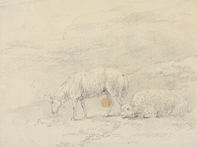 Dos ovejas de Sawrey Gilpin