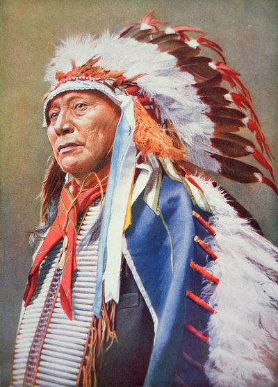 Jefe Hollow Horn Bear (1850-1913) de School American