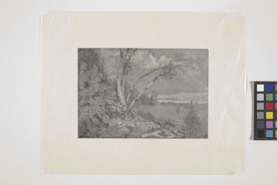 Paisaje (grabado en madera) de School American